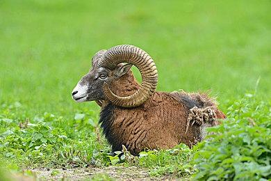 引擎轰鸣——《超自然车旅》今日上架Steam新品节